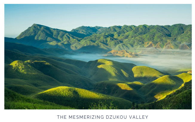 the Dzukou Valley in the boarder of Nagaland and Manipur.