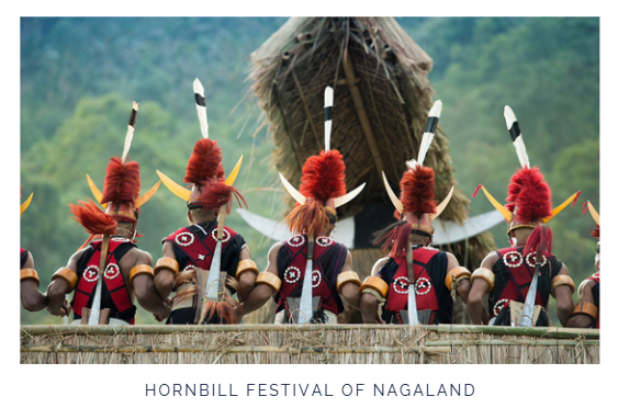 The Hornbill Festival,