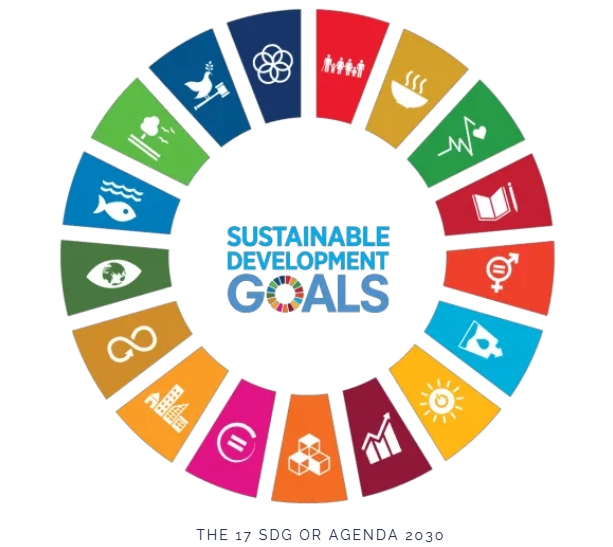 The Sustainable Development Goals and Agenda 2030: India and World