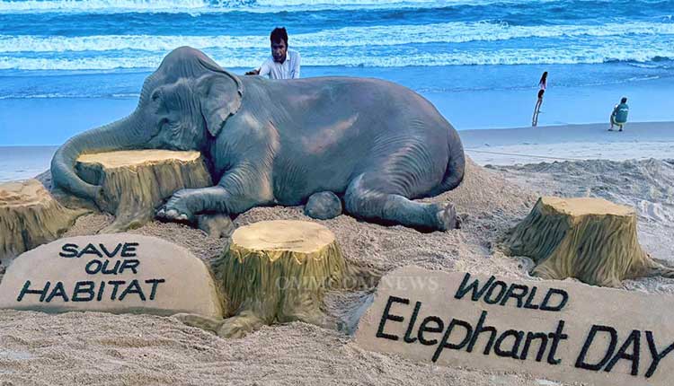 A 12-foot sand sculpture by sand artist Sudarshan Patnaik on Puri Beach, Odisha, with the slogan “Save My Habitat,” marked the event